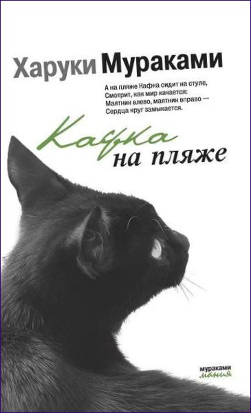 Haruki Murakami. Kafka paplūdimyje