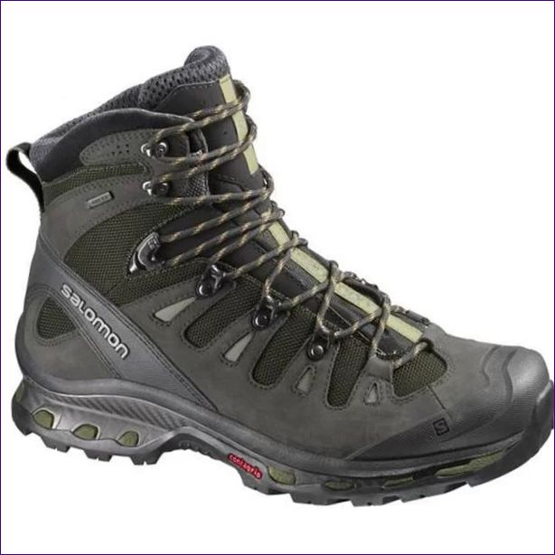 Salomon Quest 4D 2 GTX