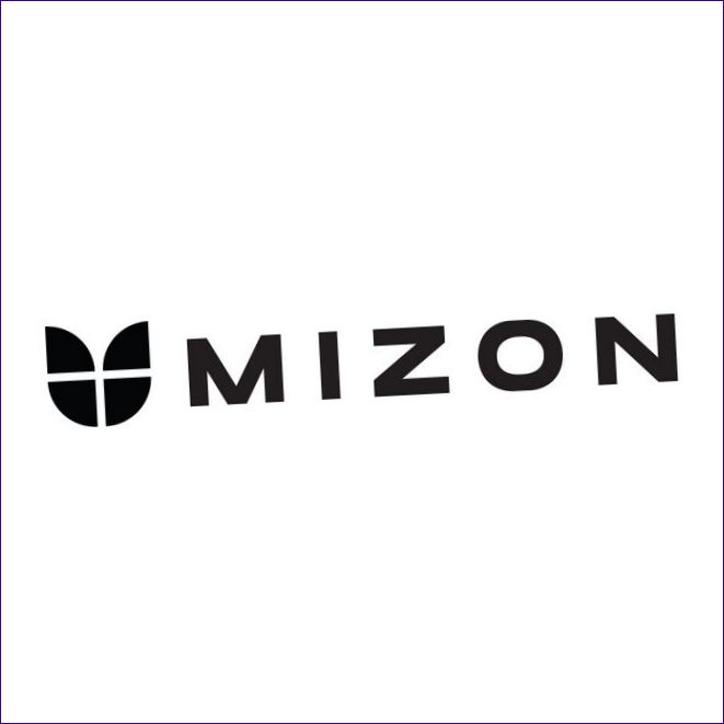 Mizon